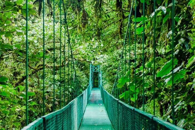 Manakin Lodge Monteverde Екстер'єр фото