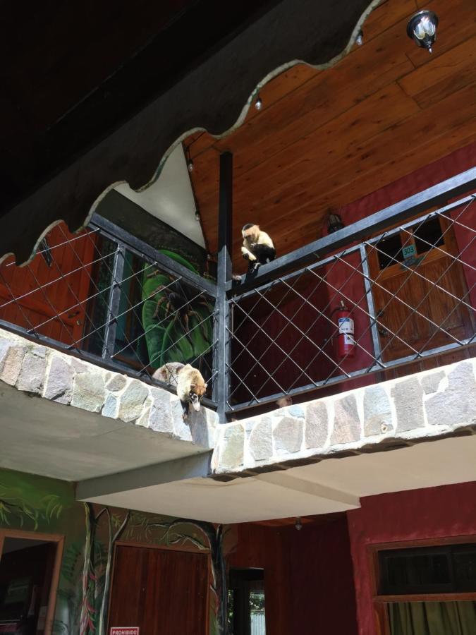 Manakin Lodge Monteverde Екстер'єр фото
